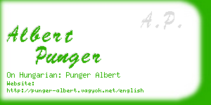 albert punger business card